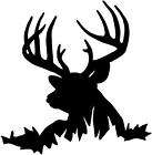 new WHITETAIL deer buck hunting decal sticker ~