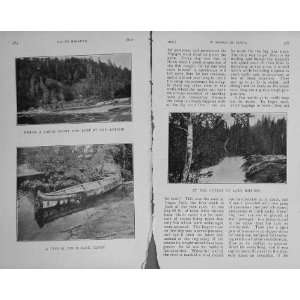  1909 Trout Fishing River Lake Nipigon Birch Bark Canoe 