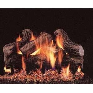   WB D 24 24 Inch Dynasty Woodbridge Gas Logs Patio, Lawn & Garden