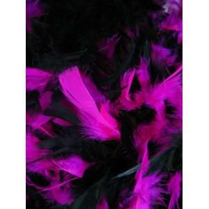   Foot 60 Gram Feather Boas (Receive 6 Per Order) 