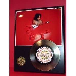 Gold Record Outlet Lenny Kravitz 24kt Gold Record Display LTD  