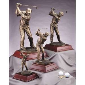   Male Burnished Gold Golf Driver Trophy Award