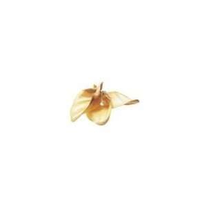  180ct Basted Cow Ears by IMS Trading Corporation: Kitchen 