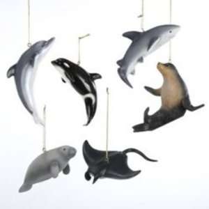   Resin Marine Animal Ornaments Case Pack 96 by DDI: Home & Kitchen