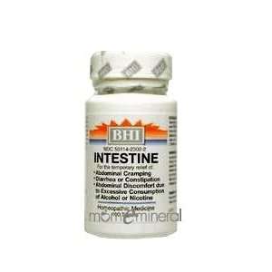  Intestine 100 Tablets by Heel BHI