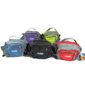  Brand New Travel Waist pouch Packback Adjustable Belt Bag USA 
