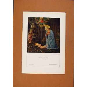German Art Madonna By Filippo Lippi Antique Print C190  