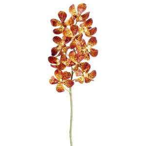  23 Vanda Orchid Spray Orange (Pack of 6): Home & Kitchen