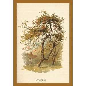 Apple Tree   12x18 Framed Print in Gold Frame (17x23 finished)  