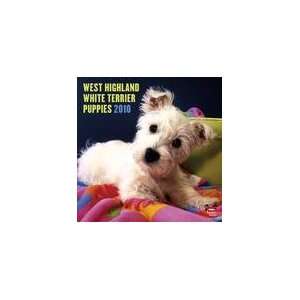   Highland White Terrier Puppies 2010 Wall Calendar: Office Products