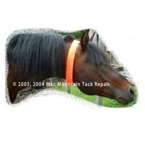  Protectavest Blaze Orange Horse Neck Collar