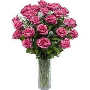 Two Dozen Premium Long Stem Pink Intuition Roses with Cylinder Hand 