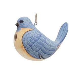  Birdhouse Fat Bluebird (Bird Houses) (Bluebirds) 