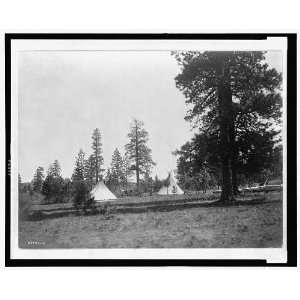   Mountain Camp,Yakima,Washington,WA,Tepees,horse,c1910