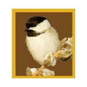 Magnetic Bookmark Black Capped Chickadee on Branch, Beautiful and 