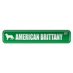  AMERICAN BRITTANY ST  STREET SIGN DOG