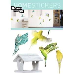  Home Stickers Budgerigars Decorative Wall Stickers