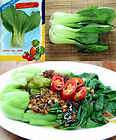 Choy Sum Cut Flower 1000 seeds asia vegetable  