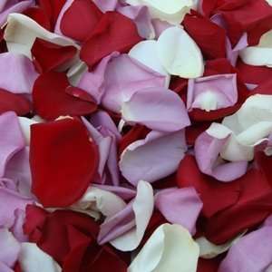   Rose Petals   12,000 Rose Petals:  Grocery & Gourmet Food