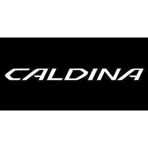  Toyota Caldina Windshield Vinyl Banner Decal 36 x 3 