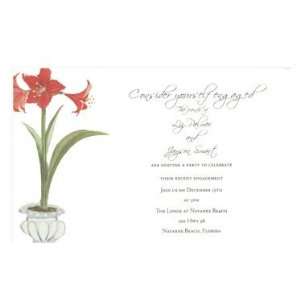  Stevie Streck Designs HD683 Amaryllis: Home & Kitchen