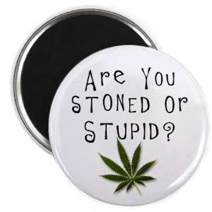  STONED or STUPID Marijuana Pot Leaf 2.25 inch Fridge 