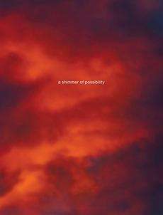 Paul Graham: A Shimmer of Possibility