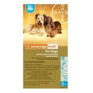  Advantage Multi for Dogs and Puppies 9 20 lbs, 6 Pack 