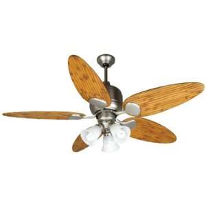   Custom Blade Options Transitional Indoor / Outdoor Ceiling Fan for us