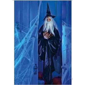  Halloween Fiber Optic Spooky Wizard Greeter with Sound 