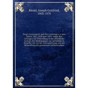   genessenen Geistskranken Joseph Gottfried, 1803 1870 Riedel Books