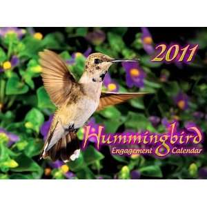  Hummingbird 2011 Wall Calendar