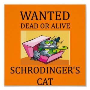 schrodingers cat joke Poster 