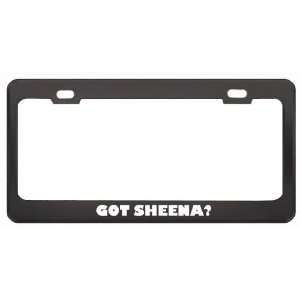 Got Sheena? Career Profession Black Metal License Plate Frame Holder 