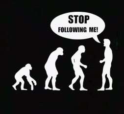 Stop Following Me! Evolution T Shirt funny monkey humen  