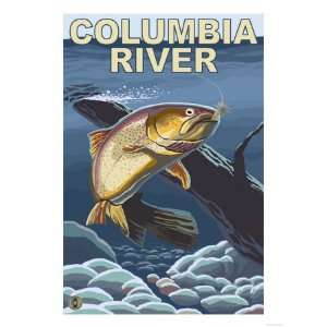 Columbia River, Oregon   Cutthroat Trout Cross Section Giclee Poster 