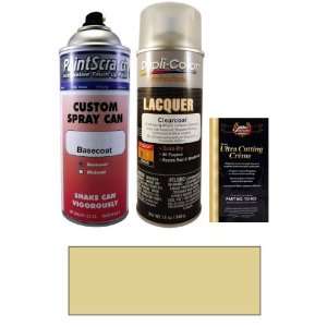   Can Paint Kit for 2000 Fleet Sherwin Williams (51076/5068) Automotive