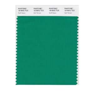  PANTONE SMART 18 5642X Color Swatch Card, Golf Green: Home 