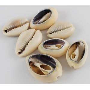  Cut Cowrie Shells (1/2kg) 