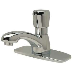  ZURN INDUSTRIES Z86100XL CP4 TMV 1 Faucet with Cover Plate 