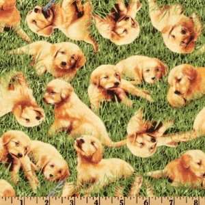   Retrievers Puppy Field Green Fabric By The Yard Arts, Crafts & Sewing