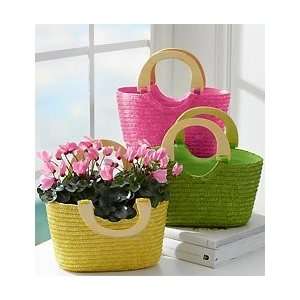  Flowers by 1800Flowers   Sunny Days Bag of Blooms