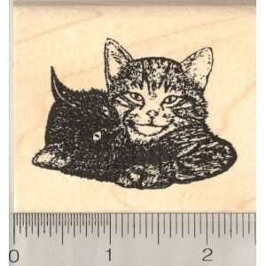  Medium Kittens Cuddling Rubber Stamp: Arts, Crafts 
