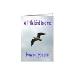 Flying Seagull bird Happy Birthday Card