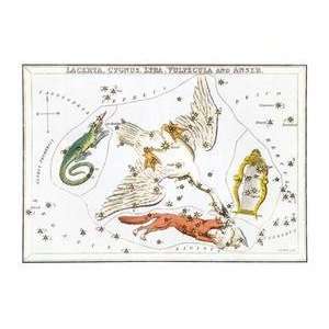  Vintage Art Cygnus and Adjacent Constellations   06286 x 