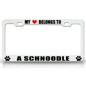 MY HEART BELONGS TO A SCHNOODLE Dog Pet Steel Metal Auto License Plate 