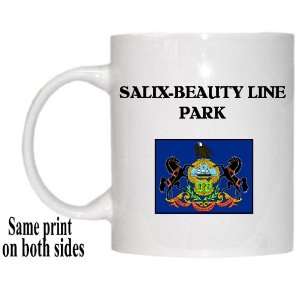 US State Flag   SALIX BEAUTY LINE PARK, Pennsylvania (PA 