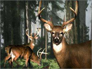   Manual PC CD outdoor animal deer hunting gun shooting game  