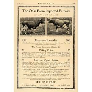   Ad Oak Farms Guernsey Milking Heifers C.W. Barron   Original Print Ad