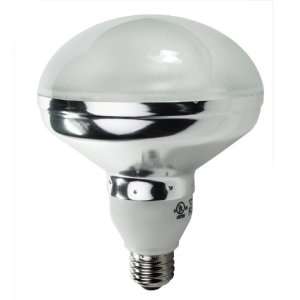   2700K   CFL Light Bulb   R40 Reflector   Energy Miser FE RSF 30W 27K